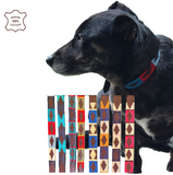 VERA TUCCI POLO DOG COLLARS GREAT SELECTION OF COLS/SIZES NEW!